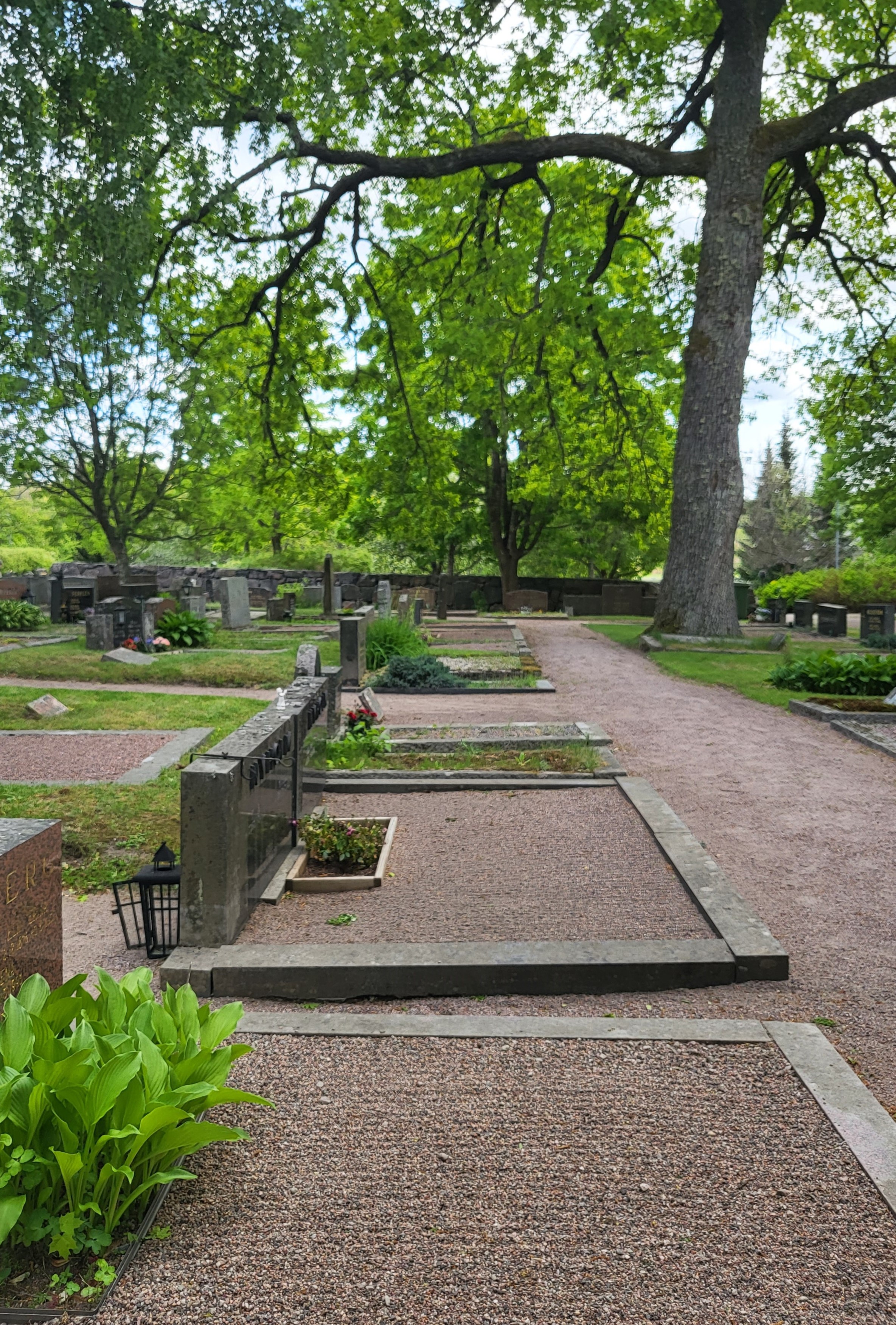 gravar på sjundeå gravgård fotograferat från sidan