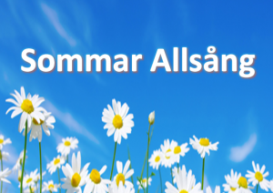 texten sommar allsång, blå himmel och prästkragar