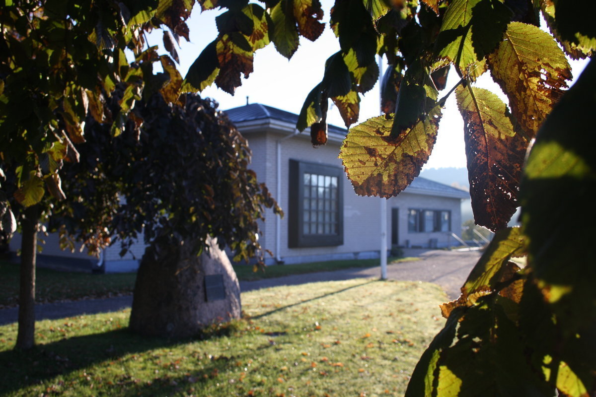 löv, i bakgrunden syns sjundeås församlingshem
